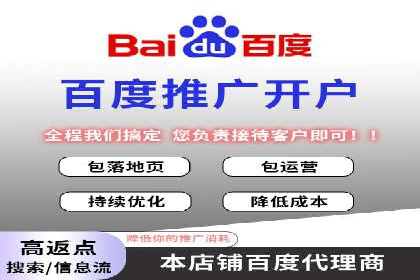 电商行业SEM运营的挑战与成功案例
